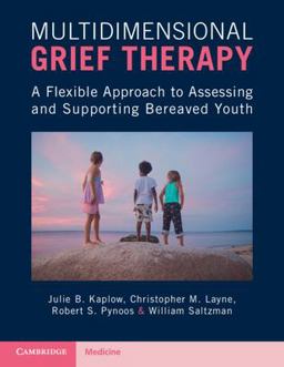 Multidimensional Grief Therapy A Flexible Approach to Assessing and Supporting Bereaved Youth  9781107566507 Front Cover