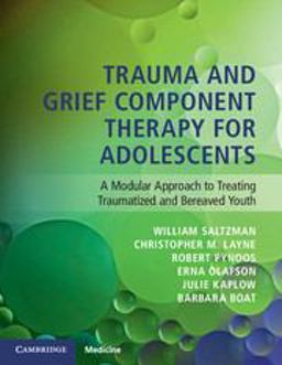 Trauma and Grief Component Therapy for Adolescents A Modular Approach to Treating Traumatized and Bereaved Youth  9781107579040 Front Cover