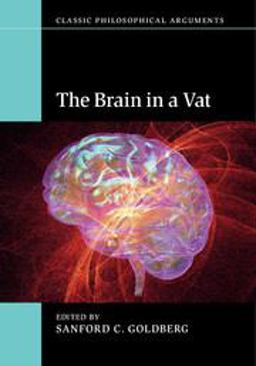 Brain in a Vat  9781107643383 Front Cover