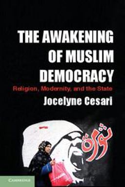 Awakening of Muslim Democracy Religion, Modernity, and the State  9781107664821 Front Cover