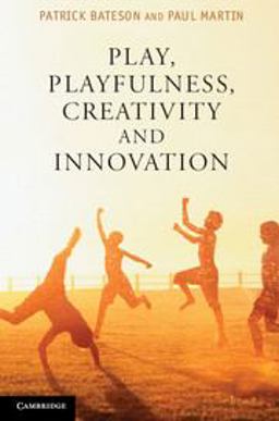 Play, Playfulness, Creativity and Innovation  9781107689343 Front Cover