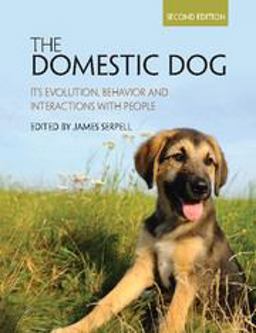 Domestic Dog Its Evolution, Behavior and Interactions with People 2nd 9781107699342 Front Cover