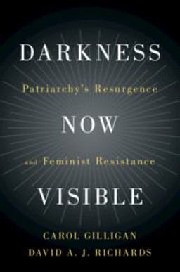 Darkness Now Visible Patriarchy's Resurgence and Feminist Resistance  9781108470650 Front Cover