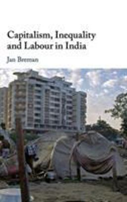 Capitalism, Inequality and Labour in India Capitalism, Inequality and Labour in India
