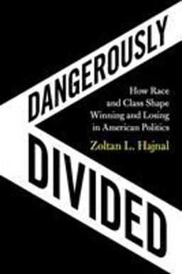 Dangerously Divided How Race and Class Shape Winning and Losing in American Politics  9781108719728 Front Cover