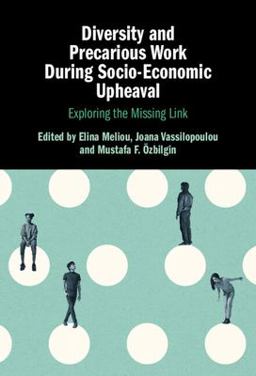 Diversity and Precarious Work During Socio-Economic Upheaval Exploring the Missing Link  9781108832113 Front Cover