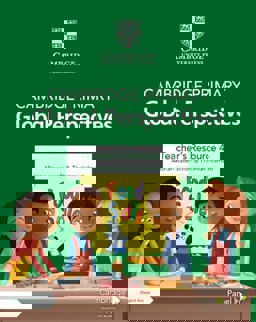 Cambridge Primary Global Perspectives Teacher's Resource 4 with Digital Access