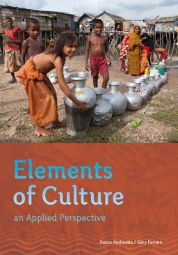 Elements of Culture An Applied Perspective  9781111830007 Front Cover