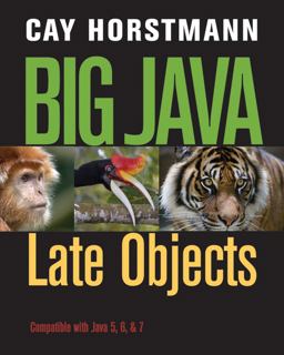 Big Java: Late Objects 1e + WileyPLUS Registration Card