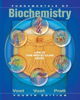 Fundamentals of Biochemistry Life at the Molecular  9781118363355 Front Cover