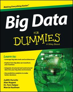 Big Data for Dummies  9781118504222 Front Cover