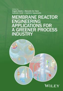 Membrane Reactor Engineering