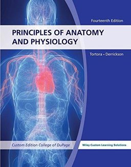 Anatomy and Physiology 14E F/ University of Akron with WileyPLUS Learning Space Card Set