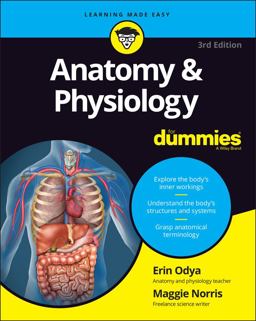 Anatomy and Physiology for Dummies 3rd 9781119345237 Front Cover