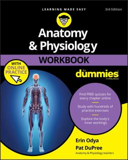 Anatomy and Physiology Workbook for Dummies with Online Practice 3rd 9781119473596 Front Cover