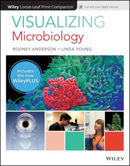 Visualizing Microbiology