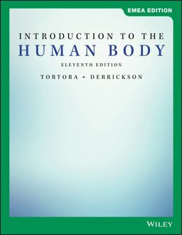Introduction to the Human Body