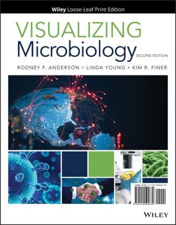 Visualizing Microbiology 2nd 9781119592679 Front Cover
