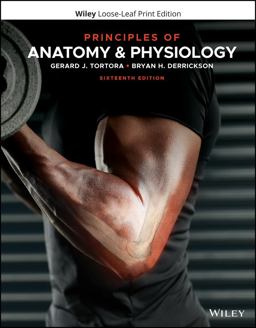 Principles of Anatomy and Physiology 16th 9781119662792 Front Cover