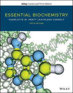 Essential Biochemistry 5th 9781119713203 Front Cover