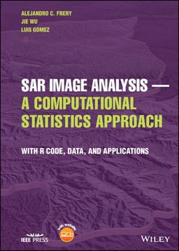 SAR Image Analysis - a Computational Statistics Approach