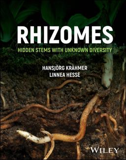 Rhizomes Hidden Stems with Unknown Diversity  9781119827146 Front Cover