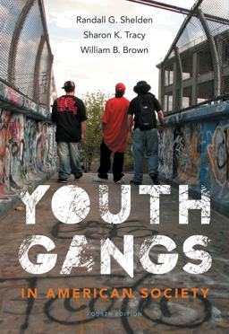 Youth Gangs in American Society 4th 9781133049562 Front Cover