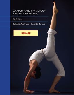 Update: Anatomy and Physiology Laboratory Manual 8th 9781133365488 Front Cover