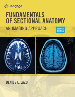 Workbook for Lazo's Fundamentals of Sectional Anatomy: an Imaging Approach, 2nd 2nd 9781133960850 Front Cover