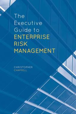 Executive Guide to Enterprise Risk Management Linking Strategy, Risk and Value Creation 1st 2013 9781137374530 Front Cover