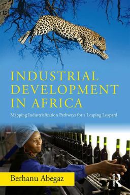 Industrial Development in Africa: Mapping Industrialization Pathways for a Leaping Leopard 1st 2018 9781138059719 Front Cover