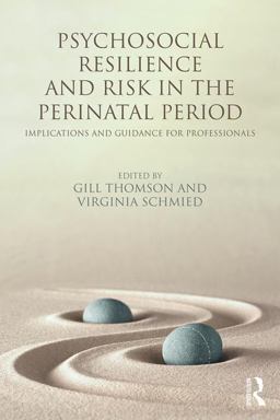 Psychosocial Resilience and Risk in the Perinatal Period Implications and Guidance for Professionals  9781138101586 Front Cover