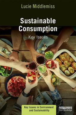 Sustainable Consumption Key Issues  9781138645660 Front Cover
