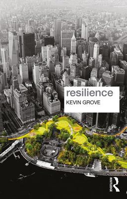 Resilience  9781138949034 Front Cover