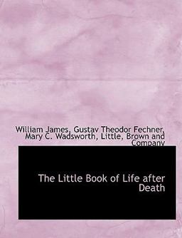 The Little Book of Life after Death
