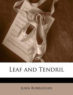 Leaf and Tendril