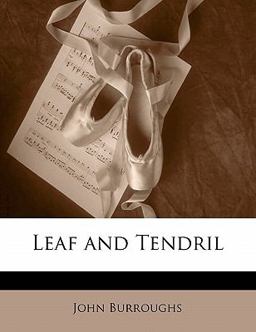 Leaf and Tendril