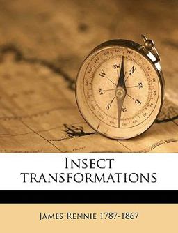 Insect Transformations