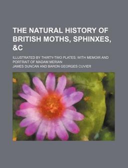 The Natural History of British Moths, Sphinxes