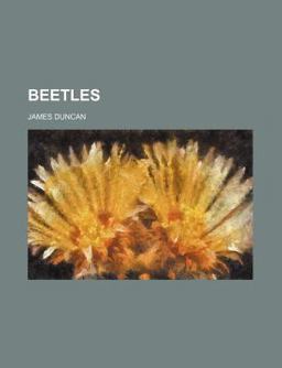 Beetles
