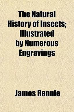 The Natural History of Insects; Illustrated by Numerous Engravings
