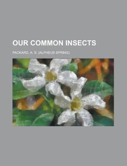 Our Common Insects