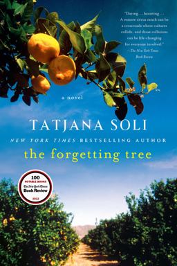 Forgetting Tree A Novel  9781250020420 Front Cover