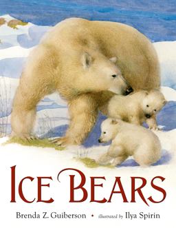 Ice Bears