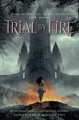Trial by Fire  9781250050885 Front Cover