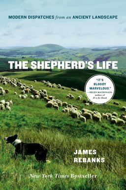 Shepherd's Life Modern Dispatches from an Ancient Landscape  9781250060242 Front Cover