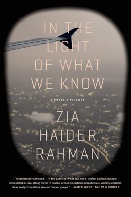 In the Light of What We Know A Novel  9781250062376 Front Cover