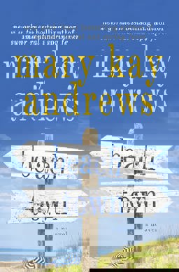 Beach Town  9781250065933 Front Cover