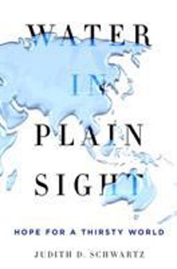 Water in Plain Sight Hope for a Thirsty World  9781250069917 Front Cover