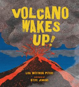 Volcano Wakes Up!  9781250073204 Front Cover